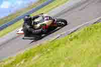 anglesey-no-limits-trackday;anglesey-photographs;anglesey-trackday-photographs;enduro-digital-images;event-digital-images;eventdigitalimages;no-limits-trackdays;peter-wileman-photography;racing-digital-images;trac-mon;trackday-digital-images;trackday-photos;ty-croes